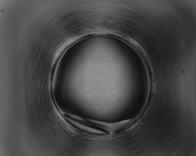 X0000051861183200507012333