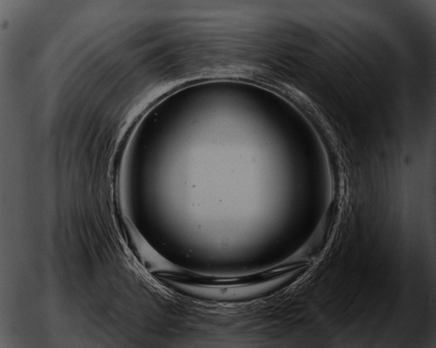 X0000051861184200507012333