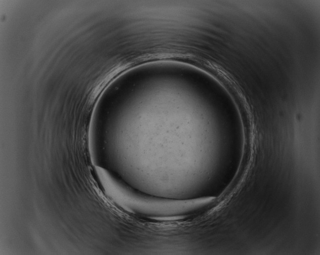 X0000051861185200507012333