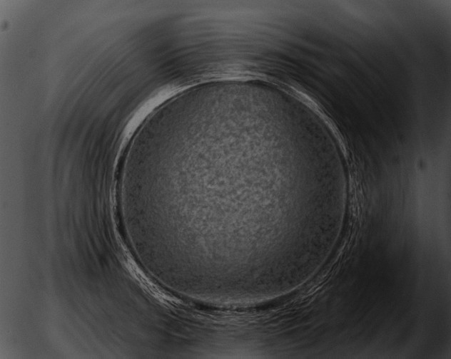 X0000051861187200507012333