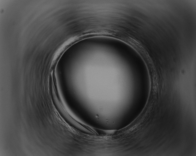 X0000051861188200507012333