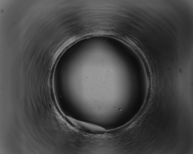 X0000051861189200507012333