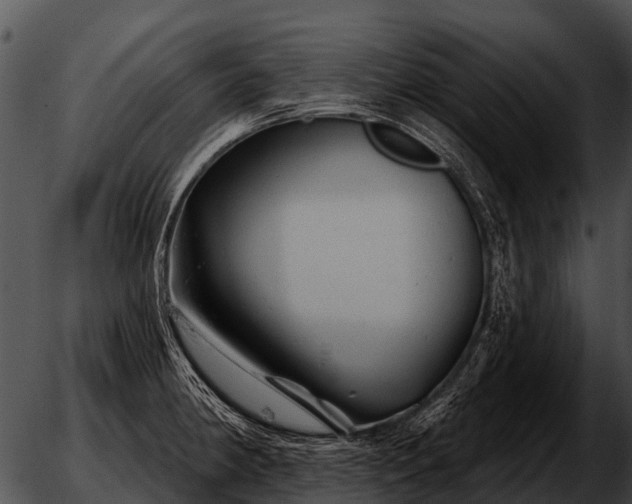 X0000051861190200507012333