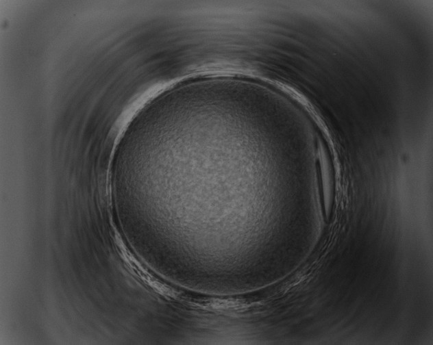 X0000051861191200507012333