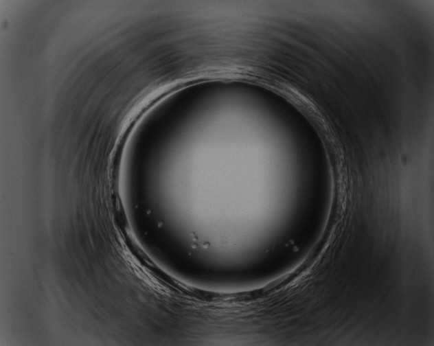 X0000051861192200507012333