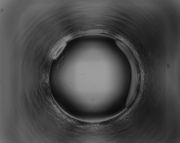 X0000051861193200507012333