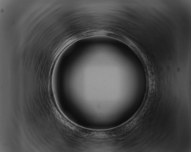 X0000051861194200507012333