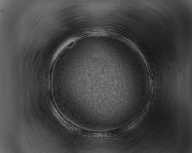 X0000051861195200507012333