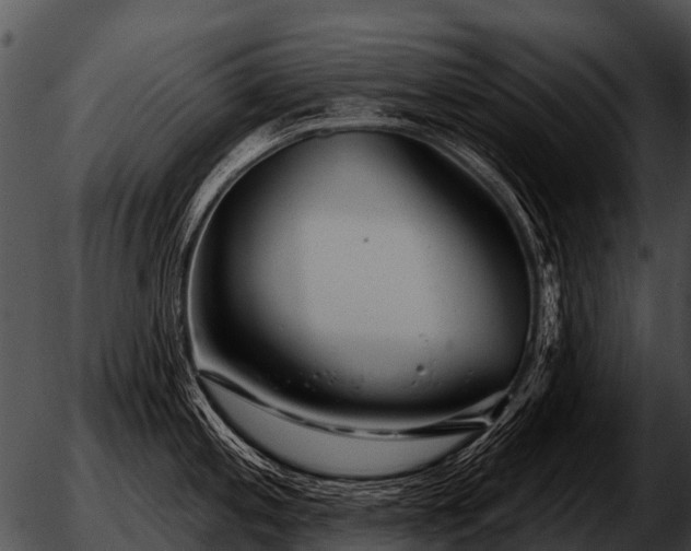 X0000051861197200507012333