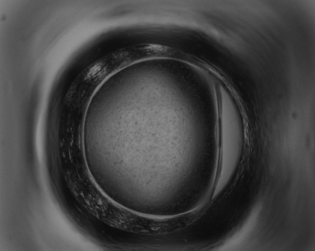 X0000051861199200507012332