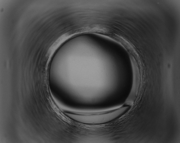 X0000051861200200507012332