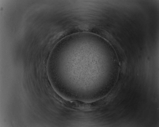 X0000051861201200507012332