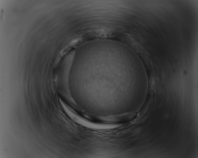 X0000051861202200507012332