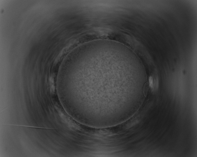 X0000051861203200507012332