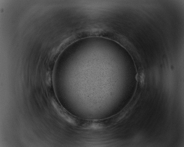 X0000051861204200507012332