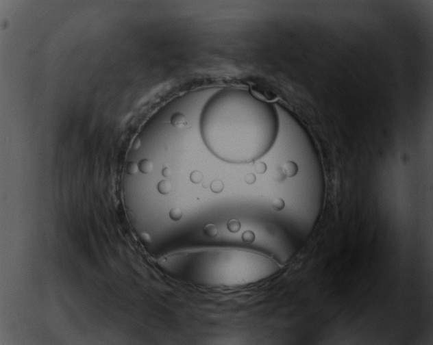 X0000051861205200507012332