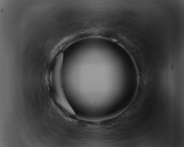 X0000051861206200507012332