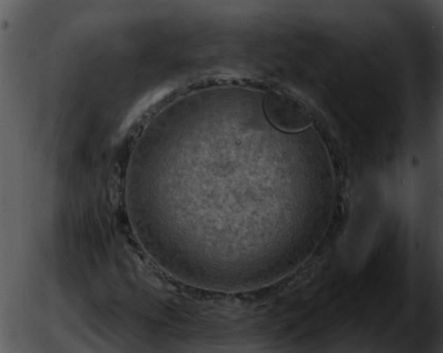 X0000051861207200507012332