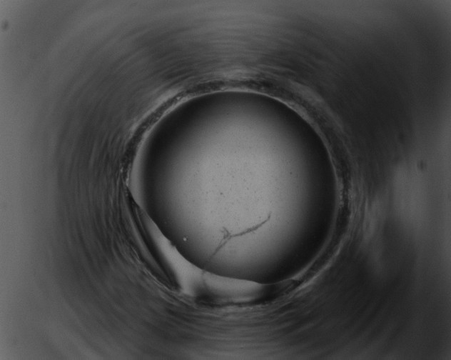 X0000051861209200507012332