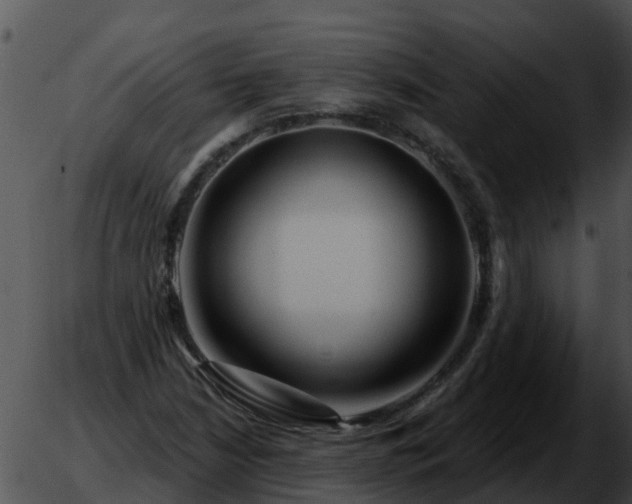 X0000051861210200507012332