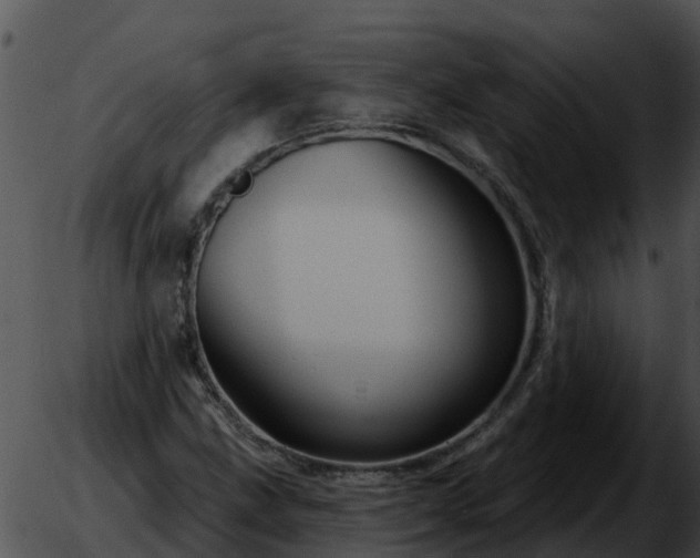 X0000051861211200507012332