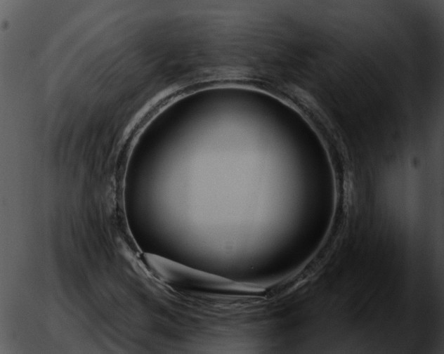 X0000051861212200507012332