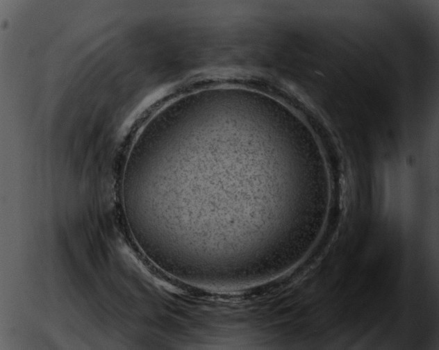 X0000051861213200507012332