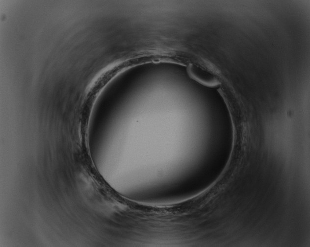 X0000051861214200507012332