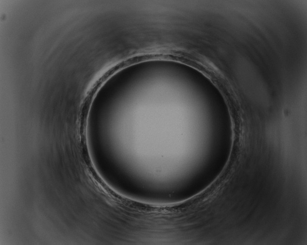 X0000051861216200507012332