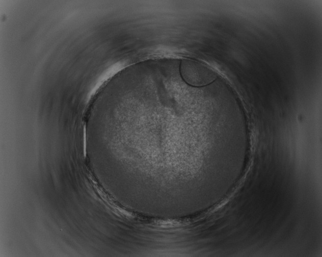 X0000051861219200507012332