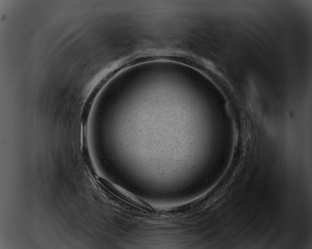 X0000051861221200507012332