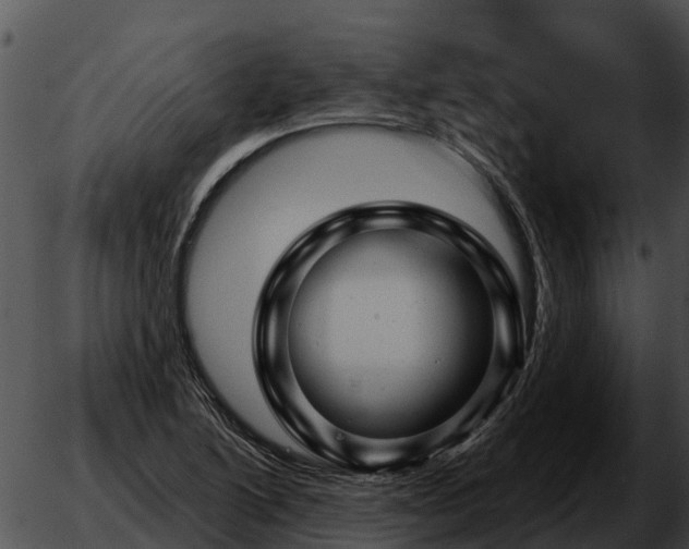 X0000051861222200507012332