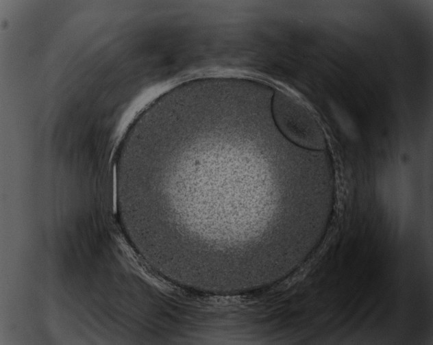 X0000051861223200507012332