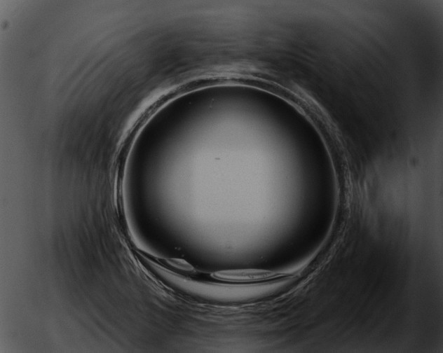 X0000051861224200507012332