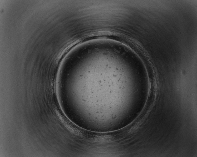 X0000051861225200507012332