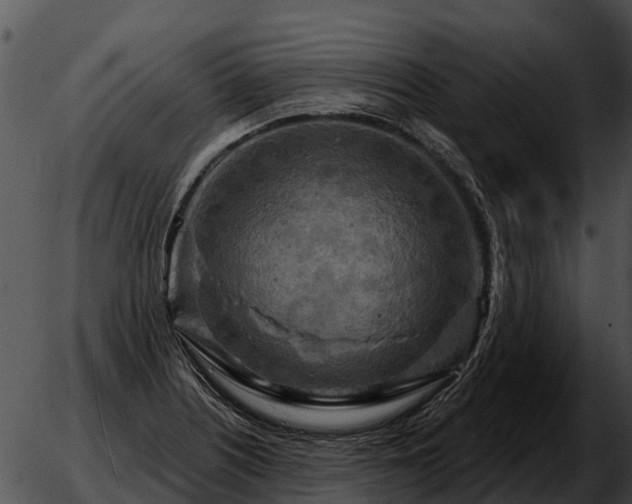 X0000051861226200507012332