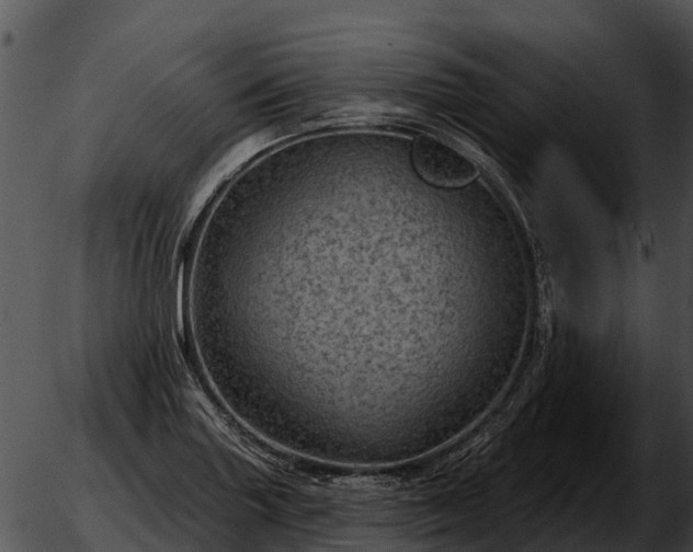 X0000051861227200507012332