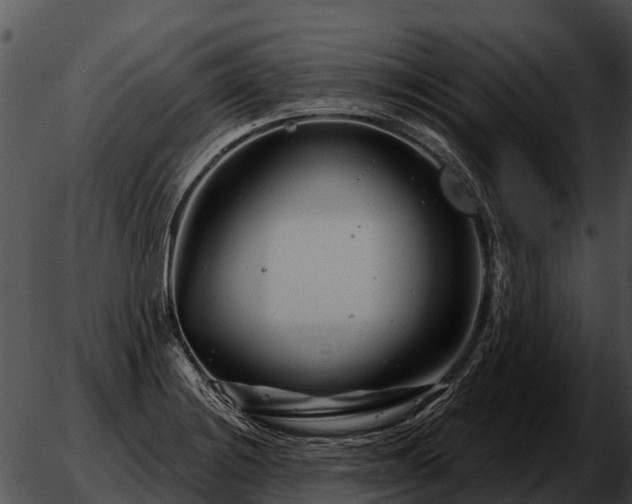 X0000051861228200507012332