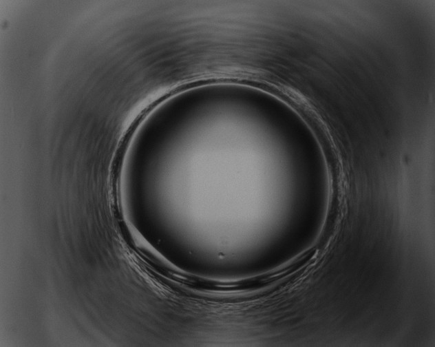 X0000051861230200507012332