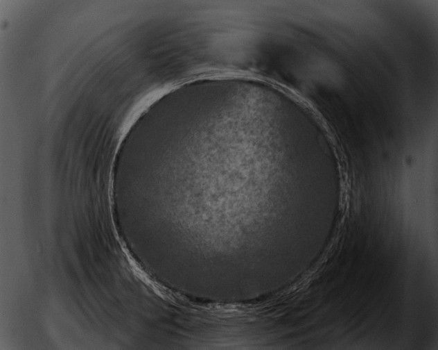 X0000051861231200507012332