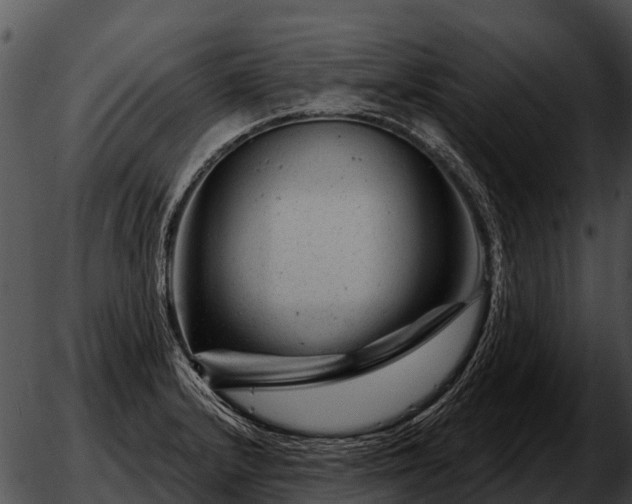 X0000051861232200507012332