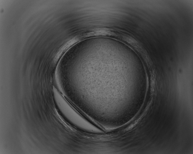 X0000051861233200507012332