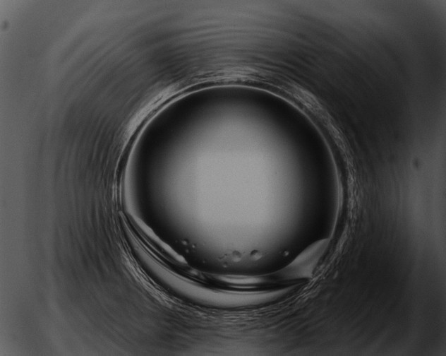 X0000051861234200507012332