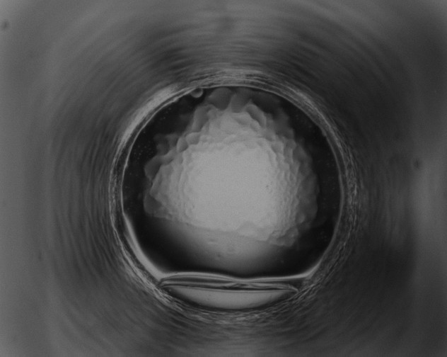 X0000051861235200507012332