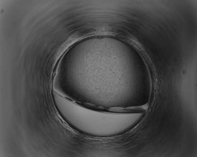 X0000051861236200507012332