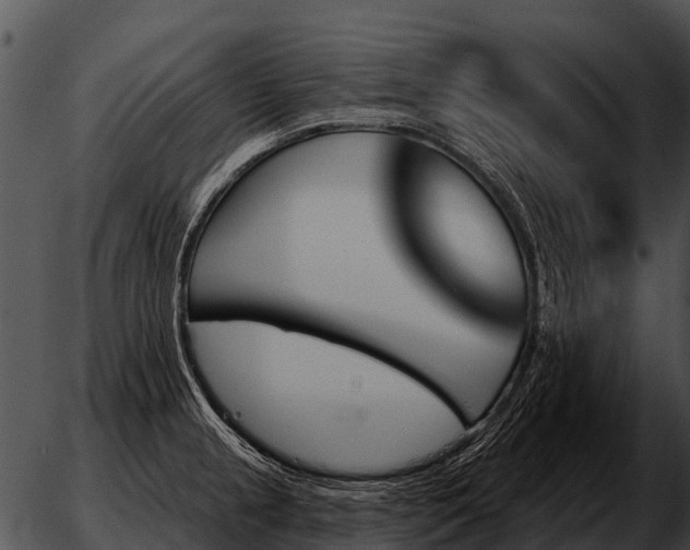 X0000051861237200507012332