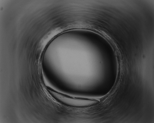 X0000051861238200507012332