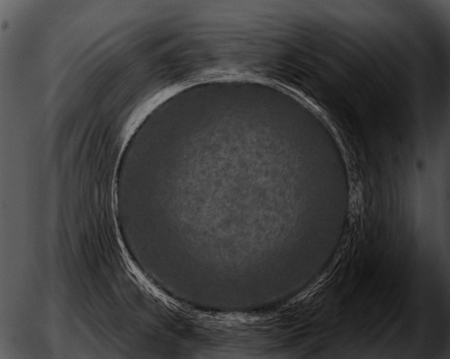 X0000051861239200507012332