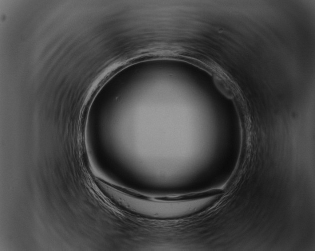 X0000051861240200507012332