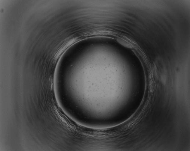 X0000051861241200507012332